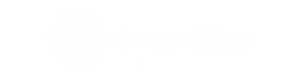 logo_braszoom